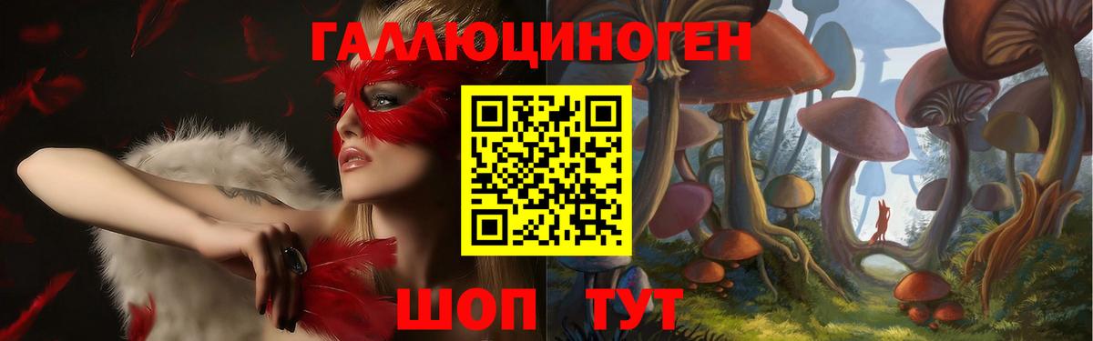 Псилоцибиновые грибы Psilocybine cubensis Тихорецк